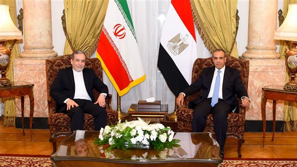 وزير الخارجية المصري