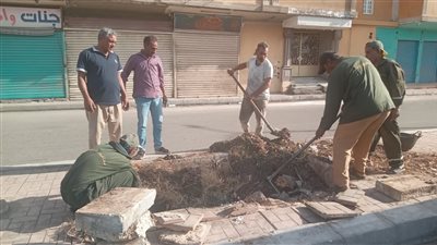 رفع 30 طن قمامة وأتربة ومخلفات في حملة نظافة بشوارع مدينة الأقصر