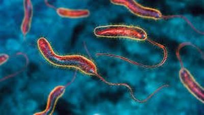 إفريقيا تشهد ارتفاعا قياسيا في وفيات الكوليرا 