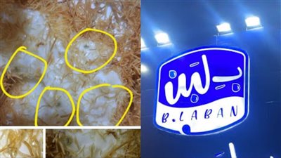 فيه فطريات.. شكاوى ضد محلات بلبن للحلويات: أكلهم بيسبب تسمم ومش بيهتموا غير بالبلوجرز