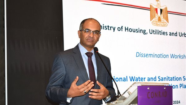 الدكتور سيد اسماعيل