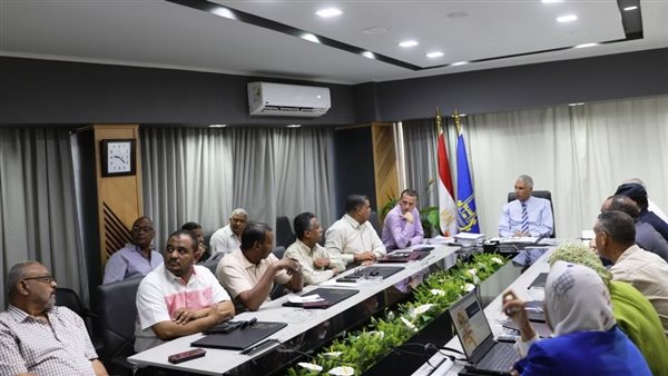 محافظ أسوان