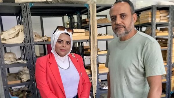 رئيس قسم الحفريات