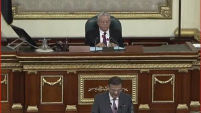 وزير الزراعة: تم استنباط أكثر من 60 صنفا وهجينا للمحاصيل الاستراتيجية لتحسين الإنتاجية