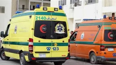 تفاصيل إصابة 10 أشخاص إثر تصادم سيارة نقل وميكروباص بطريق صلاح سالم| بث مباشر 