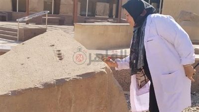 الآثار تبدأ في صيانة القطع الأثرية بمتحف المسلة بالمطرية | صور 