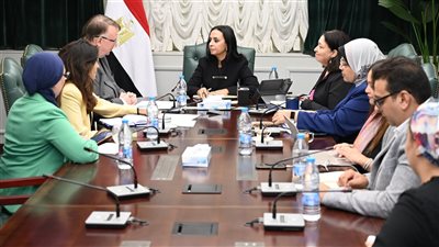 وزيرة‏‎ التضامن تلتقي مدير مكتب منظمة العمل الدولية بالقاهرة لبحث عددًا من الملفات المشتركة