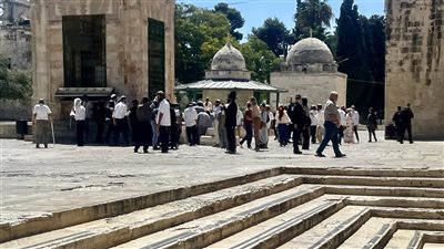 مئات المستعمرين يقتحمون باحات المسجد الأقصى ويؤدون صلوات تلمودية