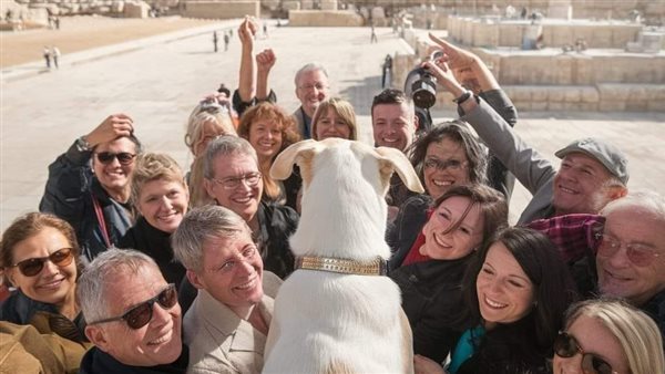 الصورة المتدالة لالتقاط