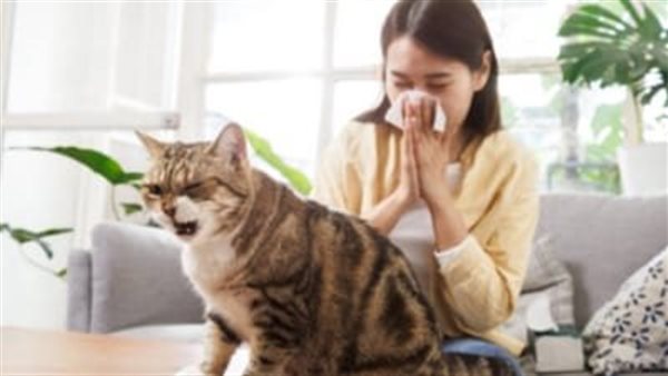 تربية الحيوانات الأليفة