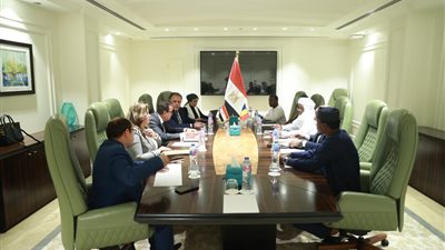 الصحة: إنشاء مستشفى مصري في تشاد.. وإرسال 15 جهاز غسيل كلوي