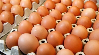 التموين: ضخ بيض المائدة التركي بالمجمعات الاستهلاكية بسعر 150 جنيها للطبق