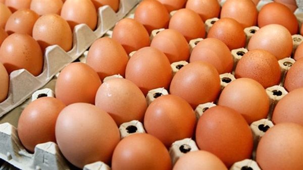 طب بيض - صورة أرشيفية