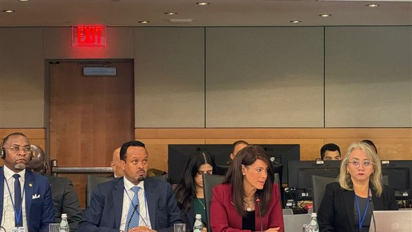 رانيا المشاط