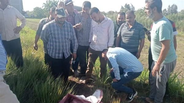 أثناء العثور على