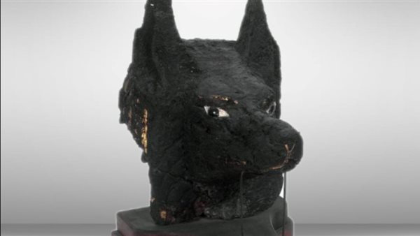 رأس المعبود أنوبيس