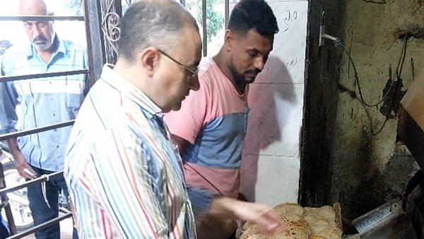 جانب من الحملات 