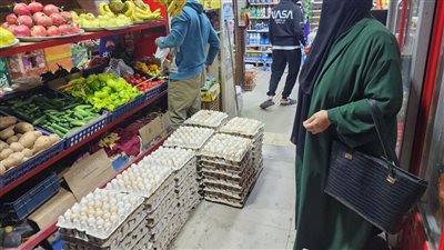 تموين الإسماعيلية: ضخ 1000 طبق بيض بلدي بالمحال التجارية بأسعار مخفضة