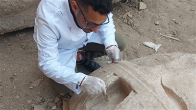 الآثار تبدأ في ترميم القطع الأثرية بموقع أبو الهول بمنطقة المطرية | صور 