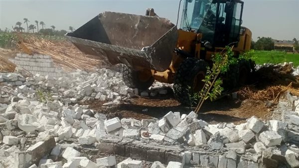 جانب من الحملة 