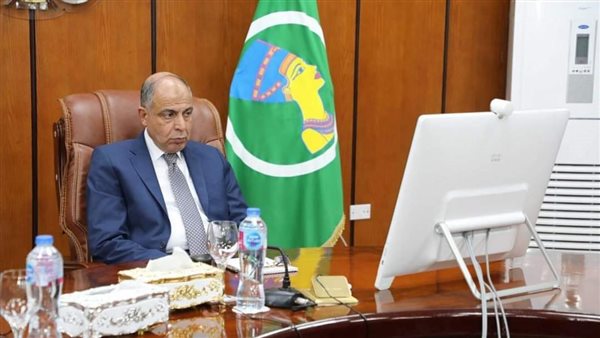 محافظ المنيا