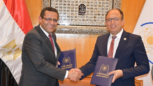 الدكتور السيد قنديل