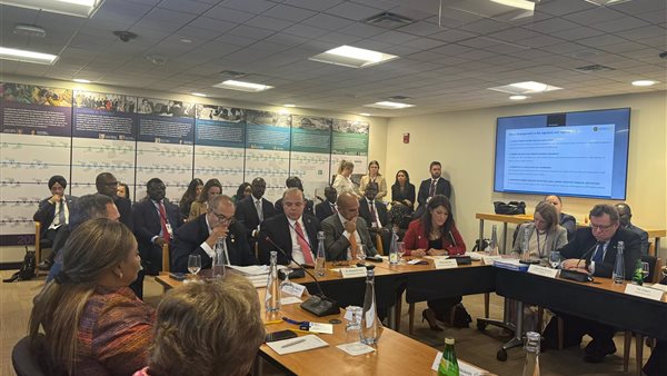 وزيرة التخطيط 