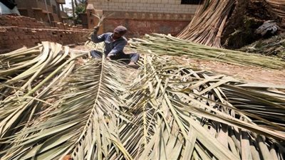  ورثها أبًا عن جد.. حكاية أقدم قفاص في محافظة سوهاج | صور