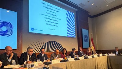 وزيرة التخطيط: الحكومة نفذت إصلاحات هيكلية لتحسين التنافسية وتعزيز استقرار الاقتصاد