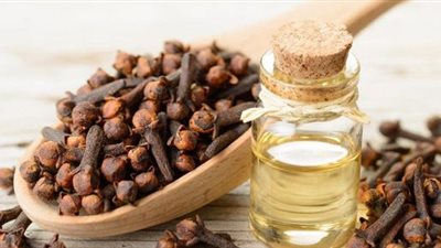 ينظم سكر الدم.. فوائد مضغ القرنفل يوميًا 