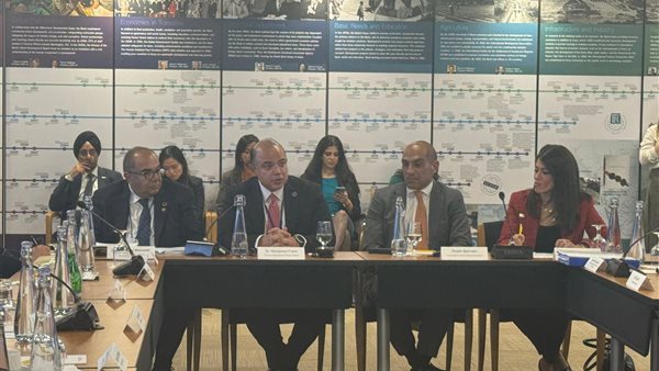 رئيس الرقابة المالية