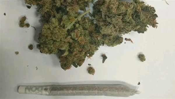 الماريجوانا - تعبيرية