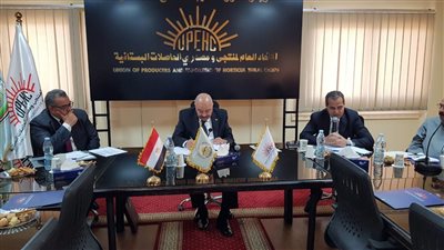 الزراعة: مصر الأولى في إنتاج الزيتون على مستوى العالم