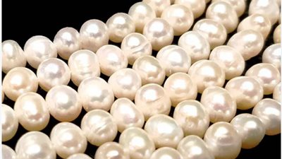 الوزراء: ارتفاع صادرت مصر من اللؤلؤ بمقدار 760 مليون دولار