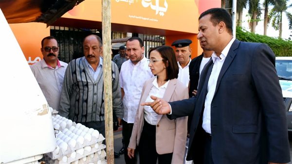 محافظ البحيرة تتفقد