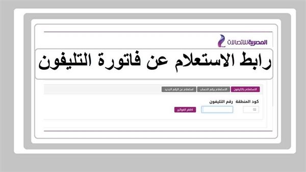 الاستعلام عن فاتورة