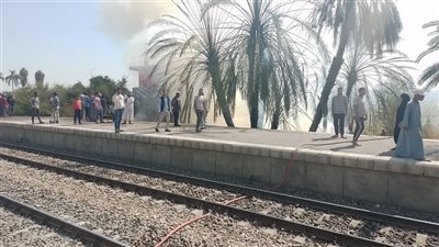 السيطرة على حريق في أشجار النخيل بجوار محطة قطار بالأقصر
