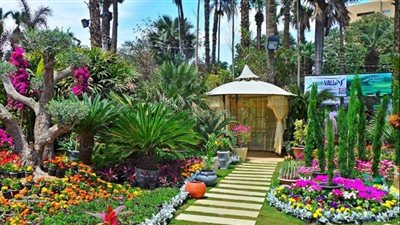 رئيس الحدائق المتخصصة: حدائق القاهرة جاهزة لاستقبال الزوار في شم النسيم