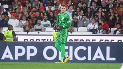 إيقاف حارس منتخب كرواتيا مباراة واحدة.. وتغريم الاتحاد الكرواتي لكرة القدم 5750 يورو