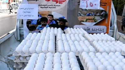 اليوم.. إطلاق 13 سيارة لبيع المواد الغذائية بأسعار مخفضة في البحيرة