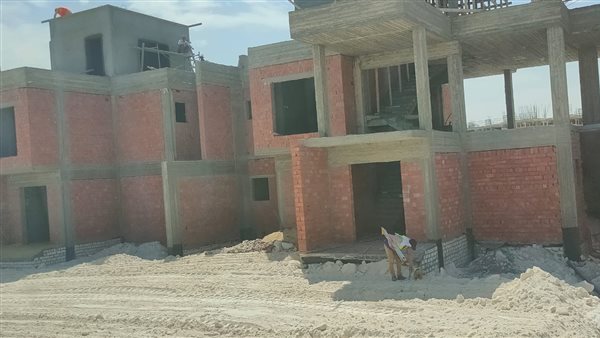 السوق العقاري 