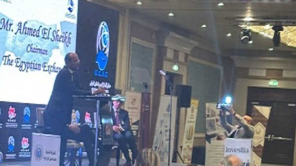 رئيس البورصة المصرية