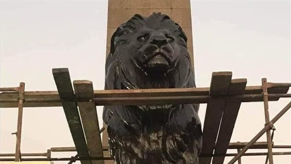 أسود قصر النيل