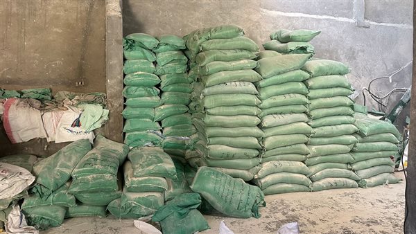 دقيق - ارشيفية