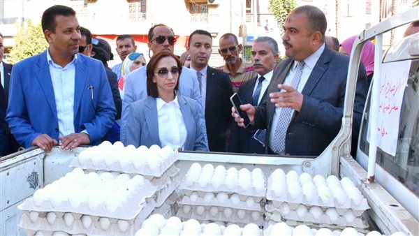 محافظ البحيرة تتفقد