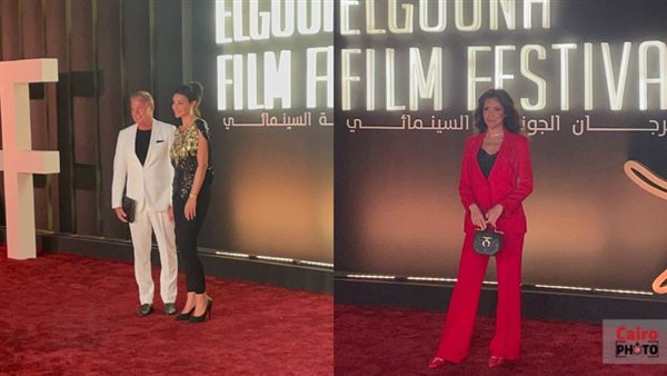 جيهان الشماشرجي -