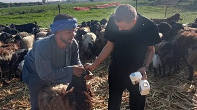 تقديم 1834 خدمة بيطرية مجانية في المنيا