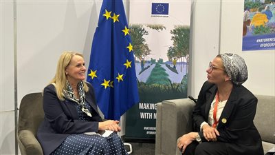 وزيرة البيئة تبحث مع المدير التنفيذي لبرنامج الأمم المتحدة مستجدات المسار التفاوضي لاتفاق البلاستيك