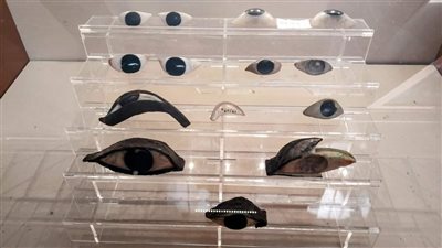 المتحف المصري بالتحرير يعرض عيون توابيت من الألباستر| صور 