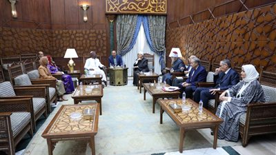 شيخ الأزهر: مستعدون لاستضافة أئمَّة النيجر وتدريبهم في أكاديمية الوعَّاظ